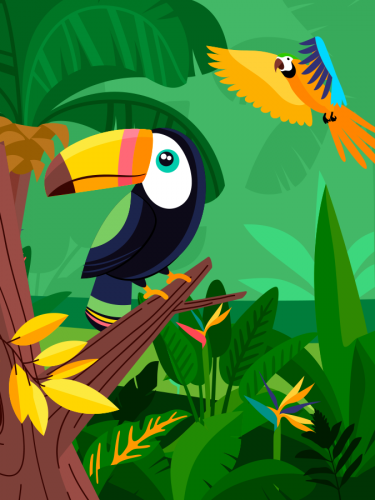 Região | Brasil de experiências turísticas